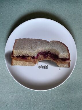 Vintage 90s Got Milk Melamine Plate PB&J Sandwich 8”